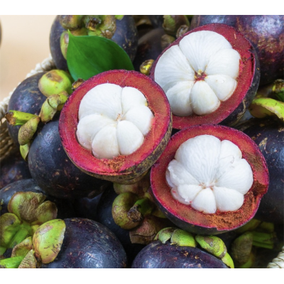 12eaadd76506459a8c286fab98c0e0c0_a61eb6421db7407b930de428f41a0242_master