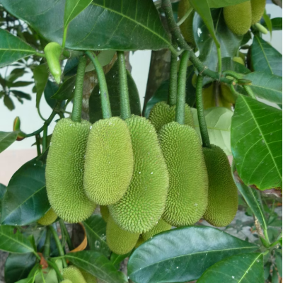 2025_07_10_13_53_14_52