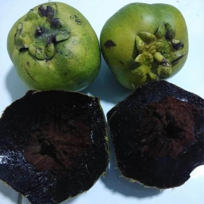 Quả hồng sô cô la